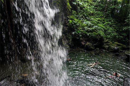 Waterfall splashing in the Emerald Pool in Dominica, West Indies, Caribbean, Central America Photographie de stock - Rights-Managed, Code: 841-06807260