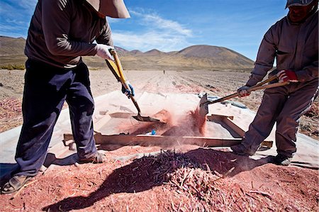 Farming quinoa, a super food, on the Bolivian Altiplano, Bolivia, South America Stock Photo - Rights-Managed, Code: 841-06807384