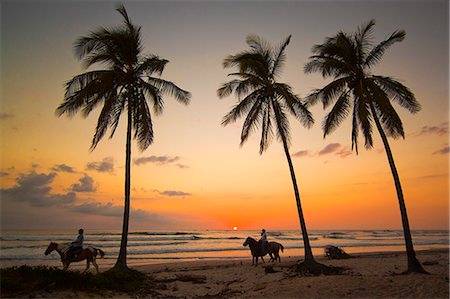 Horse riders at sunset, Playa Guiones surfing beach, Nosara, Nicoya Peninsula, Guanacaste Province, Costa Rica, Central America Stockbilder - Lizenzpflichtiges, Bildnummer: 841-06807419