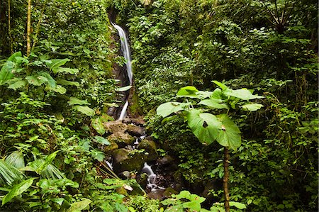 rain forest - Waterfall at Arenal Hanging Bridges where the rainforest is accessible via walkways, La Fortuna, Alajuela Province, Costa Rica, Central America Stock Photo - Rights-Managed, Code: 841-06807434