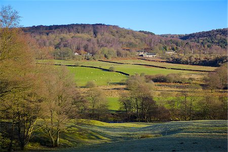 simsearch:841-03032065,k - Farm near Grindleford, Peak District National Park, Derbyshire, England, United Kingdom, Europe Stock Photo - Rights-Managed, Code: 841-06807700