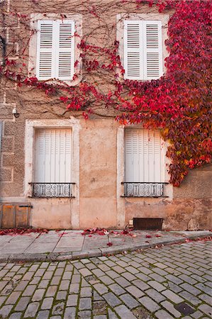 edera - Autumn leaves in Noyers-sur-Serein, one the Beaux Villages de France, Yonne, Burgundy, France, Europe Fotografie stock - Rights-Managed, Codice: 841-06807893