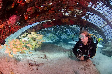scuba divers - Diver inside the Thunderdome in Turks and Caicos, West Indies, Caribbean, Central America Photographie de stock - Rights-Managed, Code: 841-06808002