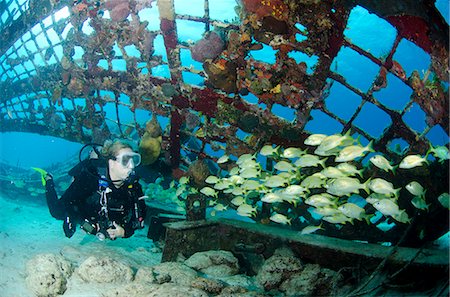 scuba-diving - Diver inside the Thunderdome in Turks and Caicos, West Indies, Caribbean, Central America Stock Photo - Rights-Managed, Code: 841-06808003