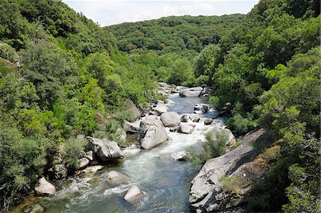 River Taravo flowing down from Corsica's National Park (Parc Naturel Regional de Corse) through Mediterranean forest, Corsica, France, Europe Photographie de stock - Rights-Managed, Code: 841-06808069