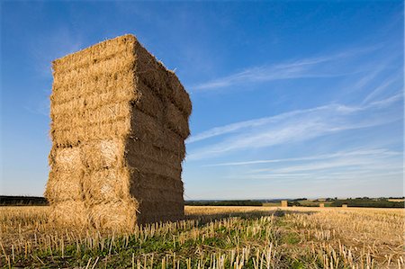 pagliaio - Hay bales stacked high in West Yorkshire, Yorkshire, England, United Kingdom, Europe Fotografie stock - Rights-Managed, Codice: 841-07084166