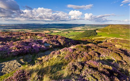 Busby Moor, North Yorkshire, Yorkshire, England, United Kingdom, Europe Stock Photo - Rights-Managed, Code: 841-07084168