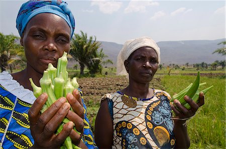 Local viillagers collect okra crop growing near Talpia Village on Lake Tanganyika, Zambia, Africa Stock Photo - Rights-Managed, Code: 841-07084361