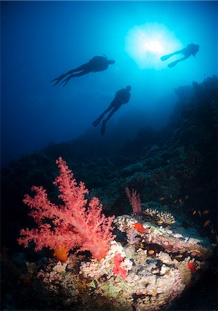 simsearch:6115-08066692,k - Silhouette of three scuba divers above coral reef, Ras Mohammed National Park, Red Sea, Egypt, North Africa, Africa Foto de stock - Con derechos protegidos, Código: 841-07084393