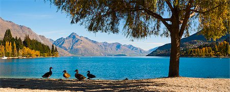 Autumnal Lake Wakatipu at Queenstown, Otago, South Island, New Zealand, Pacific Stock Photo - Rights-Managed, Code: 841-07080548