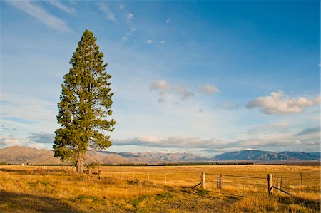 encoberto - Otago Region landscape, Otago, South Island New Zealand, Pacific Foto de stock - Direito Controlado, Número: 841-07080557