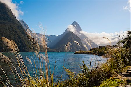 Mitre Peak, Milford Sound, Fiordland National Park, UNESCO World Heritage Site, South Island, New Zealand, Pacific Photographie de stock - Rights-Managed, Code: 841-07080551