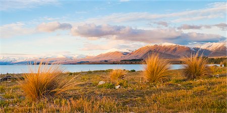 Lake Tekapo at sunset, Southern Lakes, Canterbury Region, South Island, New Zealand, Pacific Photographie de stock - Rights-Managed, Code: 841-07080562