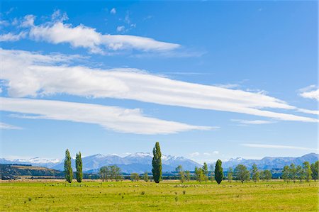 queenstown - Countryside near Queenstown, Otago, South Island, New Zealand, Pacific Photographie de stock - Rights-Managed, Code: 841-07080580