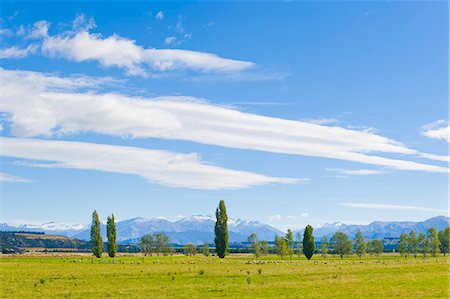 Countryside near Queenstown, Otago, South Island, New Zealand, Pacific Foto de stock - Con derechos protegidos, Código: 841-07080580