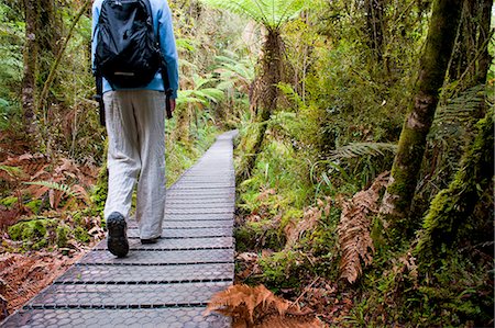 simsearch:841-03062546,k - Tourist on the walkway in the forest surrounding Lake Matheson, Westland National Park, UNESCO World Heritage Site, South Island, New Zealand, Pacific Photographie de stock - Rights-Managed, Code: 841-07080596