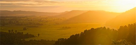 Westland National Park sunset, UNESCO World Heritage Site, West Coast of South Island, New Zealand, Pacific Photographie de stock - Rights-Managed, Code: 841-07080606