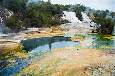 simsearch:841-03067357,k - Artist's Palette and Rainbow Terrace at Orakei Korako Thermal Park, The Hidden Valley, North Island, New Zealand, Pacific Stockbilder - Lizenzpflichtiges, Bildnummer: 841-07080653