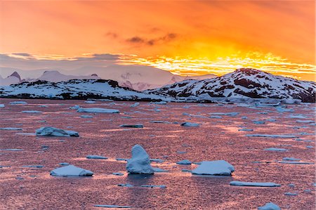 polar region - Sunset over ice floes and icebergs, near Pleneau Island, Antarctica, Southern Ocean, Polar Regions Stock Photo - Rights-Managed, Code: 841-07080789