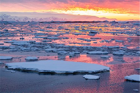 Sunset over ice floes and icebergs, near Pleneau Island, Antarctica, Southern Ocean, Polar Regions Stock Photo - Rights-Managed, Code: 841-07080793