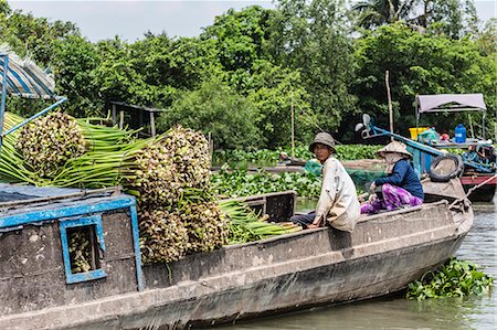 rivière du mékong - Collecting water hyacinth on Binh Thanh Island at Sadec, Mekong River Delta, Vietnam, Indochina, Southeast Asia, Asia Photographie de stock - Rights-Managed, Code: 841-07080803