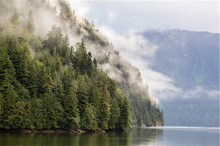 simsearch:841-07082586,k - Fog-shrouded forest near Juneau, Southeast Alaska, United States of America, North America Foto de stock - Con derechos protegidos, Código: 841-07080820