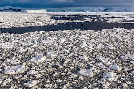 First year sea ice and brash ice near Petermann Island, western side of the Antarctic Peninsula, Southern Ocean, Polar Regions Stockbilder - Lizenzpflichtiges, Bildnummer: 841-07080945
