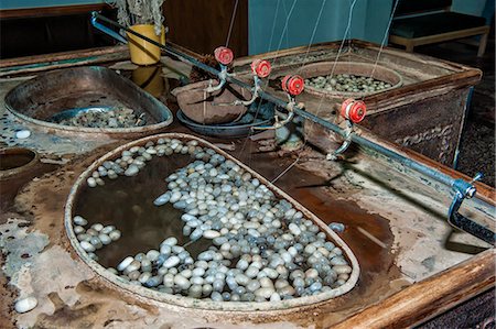 sedoso - Extraction of silk filaments from cocoons in an alkaline bath, Cappadocia, Anatolia, Turkey, Asia Minor, Eurasia Photographie de stock - Rights-Managed, Code: 841-07081396