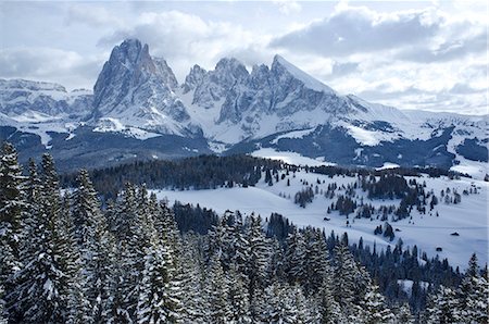 seiser alm - A snowy view of Sassolungo and Sassopiato Mountains behind the Alpe di Siusi ski area in the Dolomites, South Tyrol, Italy, Europe Foto de stock - Con derechos protegidos, Código: 841-07081420