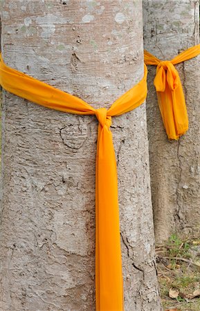 Trees that have been ordained as monks to protect them from being cut down, Ko Samui, Thailand, Southeast Asia, Asia Photographie de stock - Rights-Managed, Code: 841-07081525
