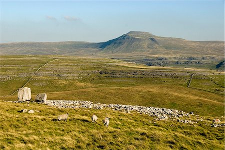simsearch:841-07206521,k - Ingleborough, seen beyond the Cheese Press Stone above Kingsdale, Yorkshire Dales, Yorkshire, England, United Kingdom, Europe Stock Photo - Rights-Managed, Code: 841-07081569