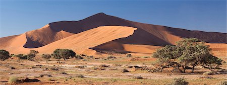 rolling hills - Panoramic view of the Ancient orange sand dunes of the Namib Desert at Sossusvlei, near Sesriem, Namib Naukluft Park, Namibia, Africa Stock Photo - Rights-Managed, Code: 841-07081691
