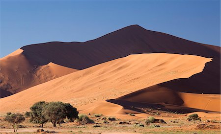 sesriem - Ancient orange sand dunes of the Namib Desert at Sossusvlei, near Sesriem, Namib Naukluft Park, Namibia, Africa Stock Photo - Rights-Managed, Code: 841-07081692