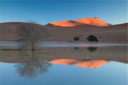 sesriem - Rising sun catching the summit of towering orange sand dunes with reflections in the flooded pan of Sossusvlei caused by rare heavy rainfall, Namib Desert near Sesriem, Namib Naukluft Park, Namibia, Africa Foto de stock - Con derechos protegidos, Código: 841-07081700