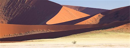 sesriem - Panoramic view of the towering orange dunes of the ancient Namib Desert near Sesriem, Namib Desert, Namib Naukluft Park, Namibia, Africa Foto de stock - Con derechos protegidos, Código: 841-07081716