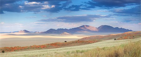 Panoramic view at dusk over the magnificent landscape of the Namib Rand game reserve, Namib Naukluft Park, Namibia, Africa Photographie de stock - Rights-Managed, Code: 841-07081728