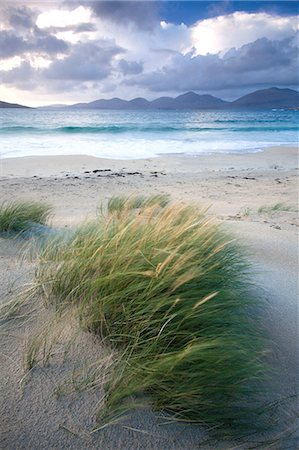 Beach at Luskentyre with dune grasses blowing in the foreground and the hills of North Harris in the distance, Isle of Harris, Outer Hebrides, Scotland Stock Photo - Rights-Managed, Code: 841-07081866