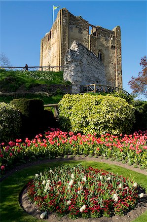 Spring flowers in ornamental beds decorate Guildford Castle, Guildford, Surrey, England, United Kingdom, Europe Foto de stock - Con derechos protegidos, Código: 841-07081897