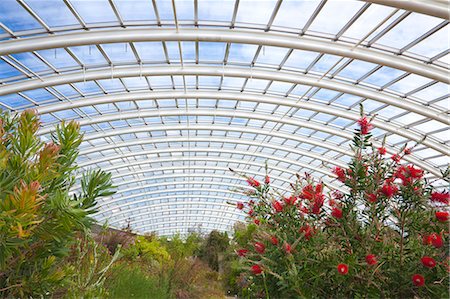 simsearch:841-06447636,k - National Botanic Garden of Wales, Llanarthne, Carmarthenshire, Wales, United Kingdom, Europe Stock Photo - Rights-Managed, Code: 841-07081962