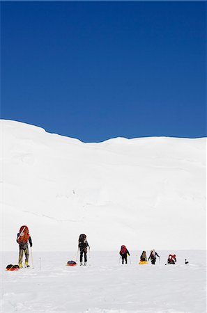 expedición - Climbing expedition on Mount McKinley, 6194m, Denali National Park, Alaska, United States of America, North America Foto de stock - Con derechos protegidos, Código: 841-07082087