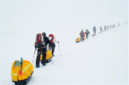 followers - Climbing expedition on Mount McKinley, 6194m, Denali National Park, Alaska, United States of America, North America Stock Photo - Rights-Managed, Code: 841-07082089
