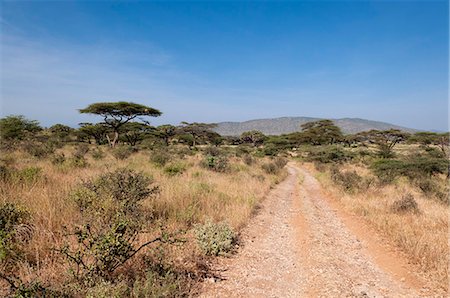 samburu national reserve - Samburu National Reserve, Kenya, East Africa, Africa Foto de stock - Con derechos protegidos, Código: 841-07082357