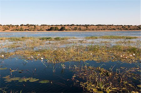 río chobe - Chobe River, Chobe National Park, Botswana, Africa Foto de stock - Con derechos protegidos, Código: 841-07082363