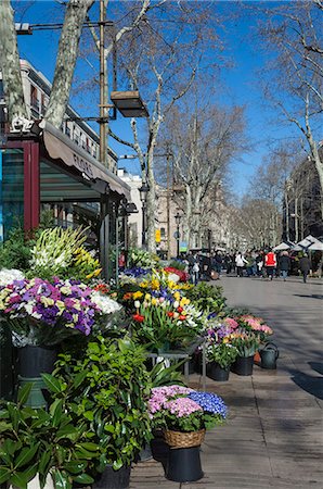 Flower stall on Las Ramblas, Barcelona, Catalunya, Spain, Europe Photographie de stock - Rights-Managed, Code: 841-07082412