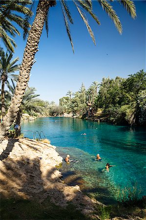 The Sachne, Gan Hashlosha National Park, Beit Shean, Israel, Middle East Stockbilder - Lizenzpflichtiges, Bildnummer: 841-07082446