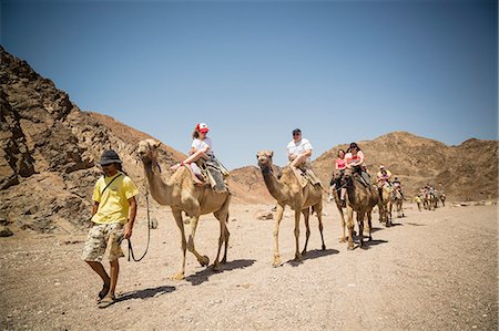riding on a camel in the desert - Camel safari in the desert, Eilat, Negev region, Israel, Middle East Stock Photo - Rights-Managed, Code: 841-07082457