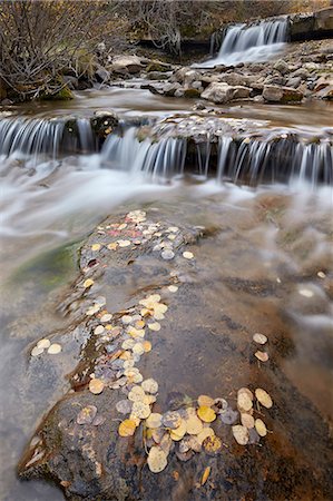 Falls on the Big Bear Creek in the fall, San Miguel County, Colorado, United States of America, North America Stock Photo - Rights-Managed, Code: 841-07082475
