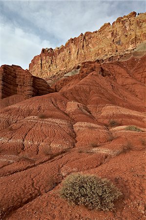 simsearch:841-06502754,k - Small bush in the wash near a sandstone butte, Capitol Reef National Park, Utah, United States of America, North America Photographie de stock - Rights-Managed, Code: 841-07082485