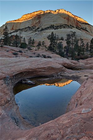parque nacional zion - Pool in slick rock at dawn, Zion National Park, Utah, United States of America, North America Foto de stock - Con derechos protegidos, Código: 841-07082489