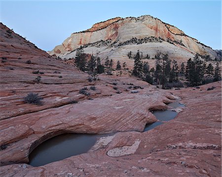 simsearch:841-06502785,k - Pools in slick rock at dawn, Zion National Park, Utah, United States of America, North America Foto de stock - Con derechos protegidos, Código: 841-07082497